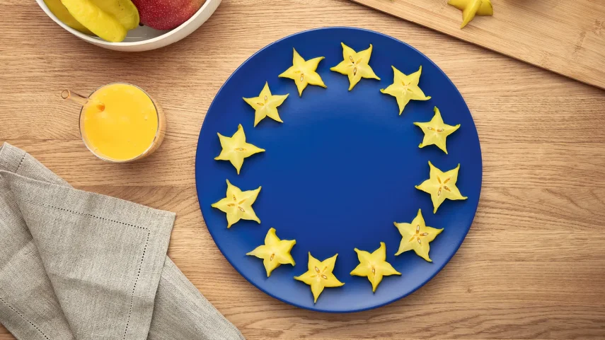 BOSCH MMB2111M Serie 2 Blender VitaPower 450 W Paslanmaz Çelik - 27