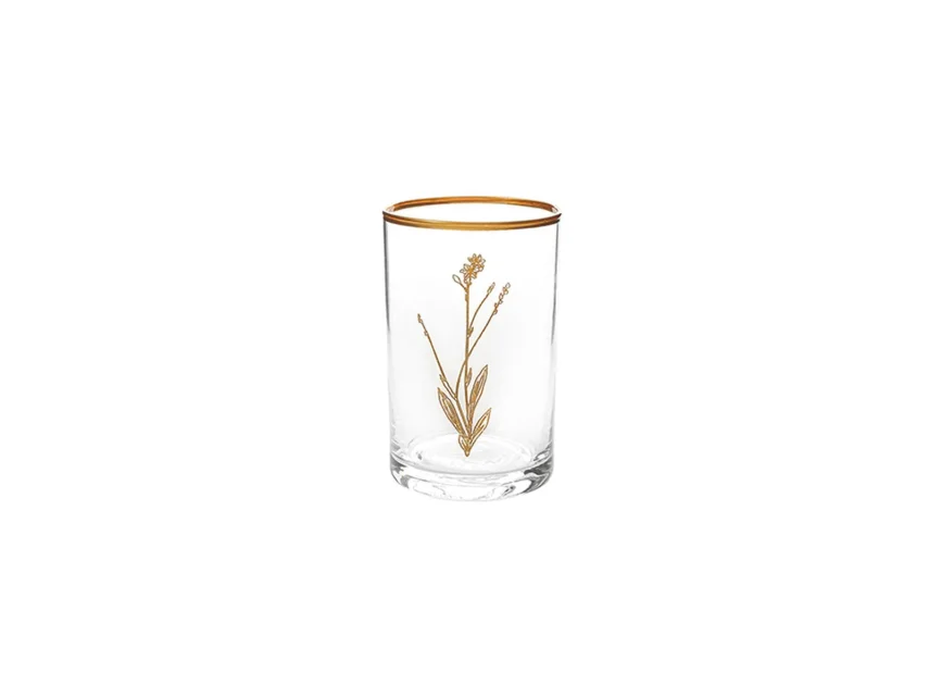 Porland Botanical Mini 3 Kişilik Su Bardağı Takımı - 2