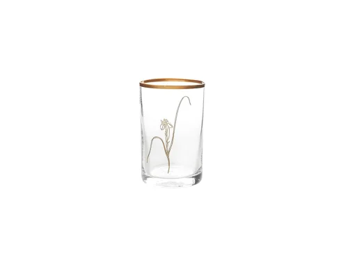 Porland Botanical Mini 3 Kişilik Su Bardağı Takımı - 3