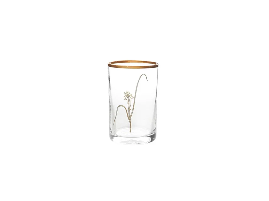 Porland Botanical Mini 3 Kişilik Su Bardağı Takımı - 3