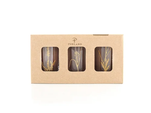 Porland Botanical Mini 3 Kişilik Su Bardağı Takımı - 4
