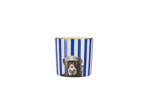Porland Wild Life Monkey Bardak 230cc - PORLAND