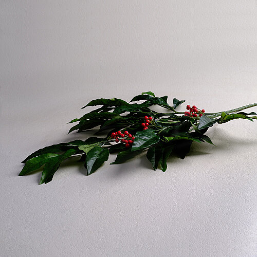 SAREV ARDISIA SPRAY, .YEŞİL - 3