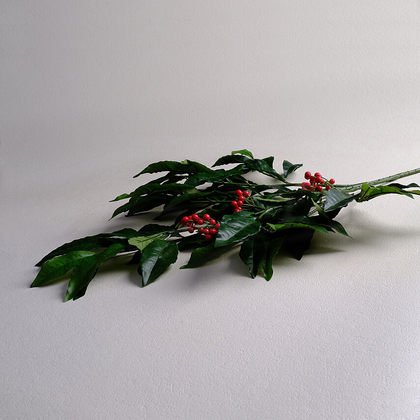 SAREV ARDISIA SPRAY, .YEŞİL - 3