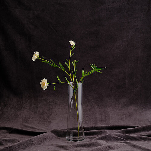 Sarev Corn Flower Dekoratif Çiçek Krem - SAREV