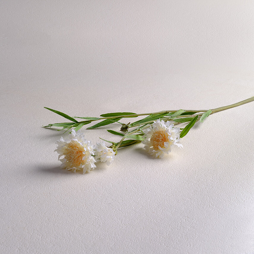 Sarev Corn Flower Dekoratif Çiçek Krem - 2