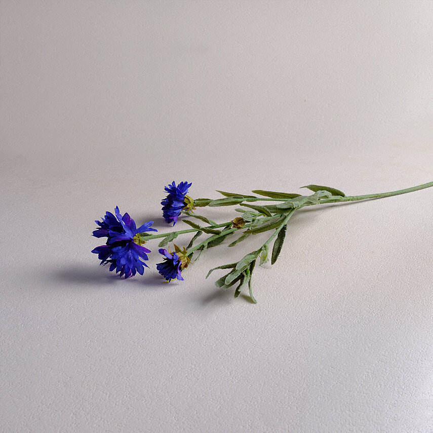 Sarev Corn Flower Dekoratif Çiçek Mavi - 2