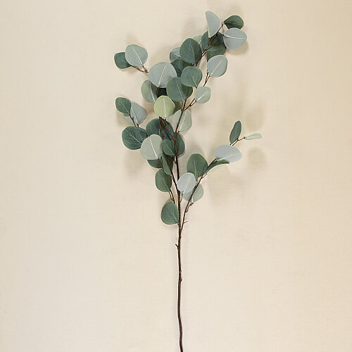 Sarev Eucalyptus Dekoratif Çiçek Y80 - 2