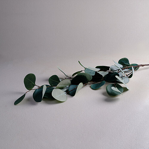 Sarev Eucalyptus Dekoratif Çiçek Y80 - 3