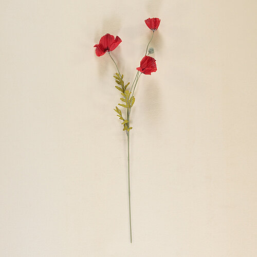 SAREV POPPY Y60, .KIRMIZI - 2