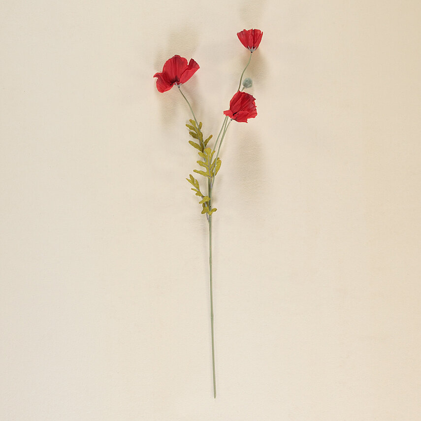 SAREV POPPY Y60, .KIRMIZI - 2