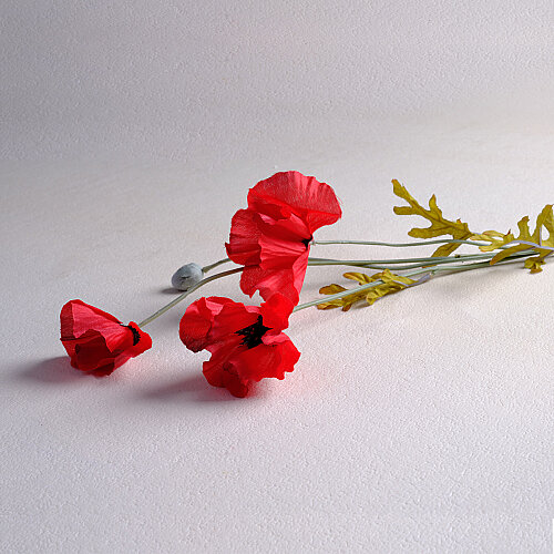 SAREV POPPY Y60, .KIRMIZI - 3
