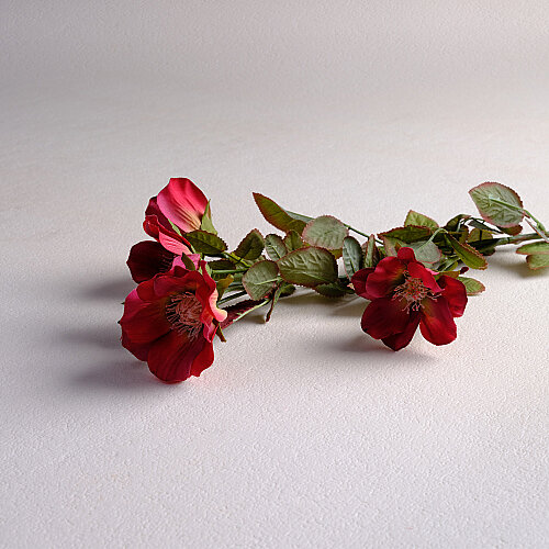 Sarev Wild Rose Dekoratif Çiçek - 2